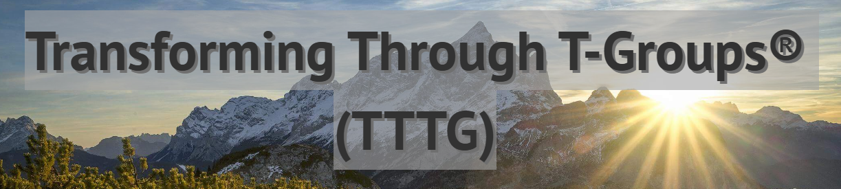 Transforming Through T-Groups™ (TTTG™)